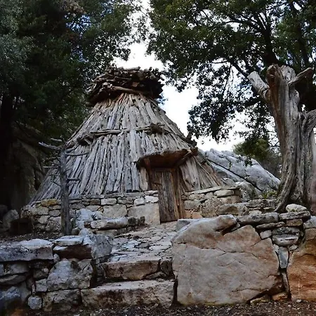 Apartament Kt House - *