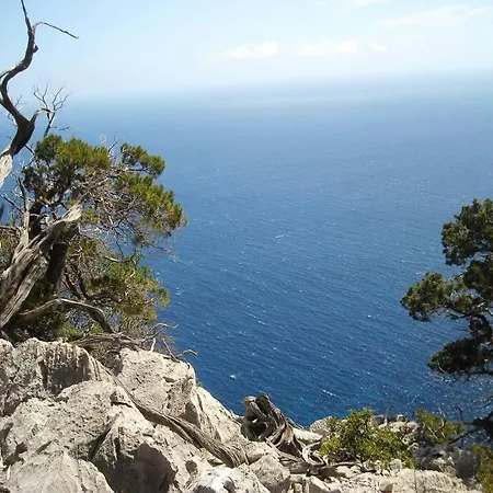 Kt House - Apartament *